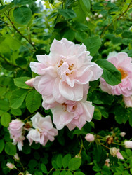 Similar image 22200841