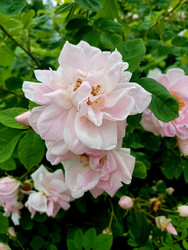 Similar image 22200843