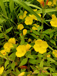 Similar image 22200852