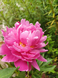 Similar image 22200856