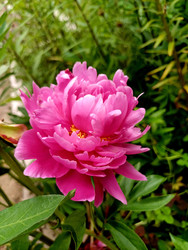 Similar image 22200857