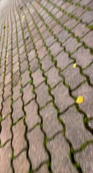 Similar image 22200859