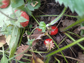 Similar image 22200862