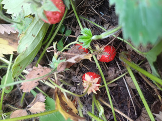 Similar image 22200864