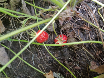 Similar image 22200865