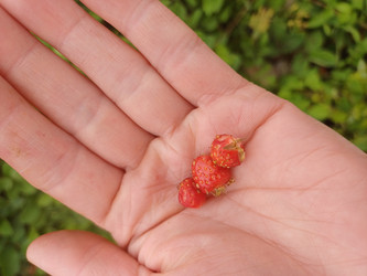 Similar image 22200866