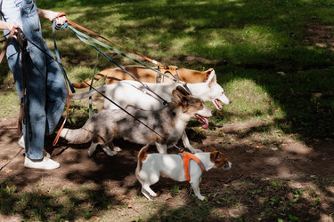 Similar image 22207792