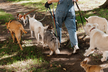 Similar image 22207793