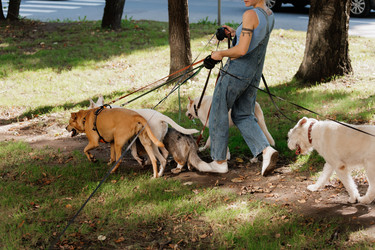 Similar image 22207794