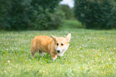 Similar image 22202128