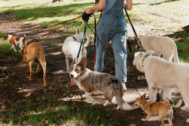 Similar image 22205497