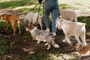 Similar image 22205498