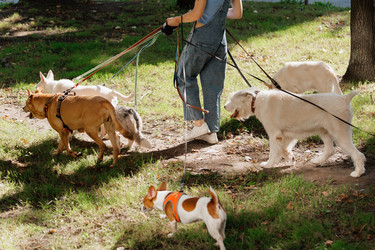 Similar image 22205499