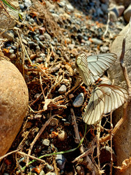 Similar image 22200880