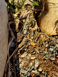 Similar image 22200881