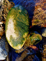 Similar image 22200888