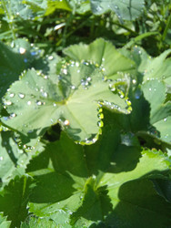 Similar image 22200889