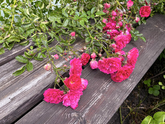 Similar image 22203660