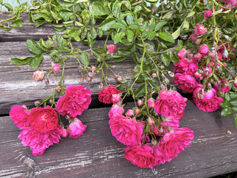 Similar image 22203661