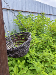 Similar image 22203662