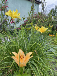 Similar image 22203664