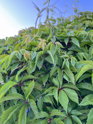 Similar image 22203669