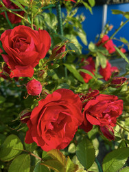 Similar image 22203670