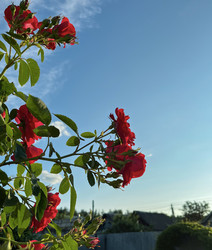 Similar image 22203672