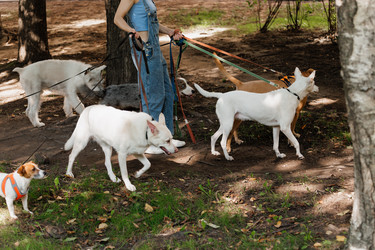 Similar image 22207799