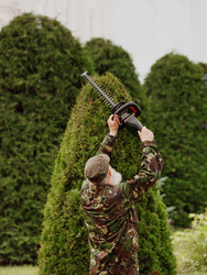 Similar image 22207805