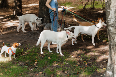 Similar image 22207808