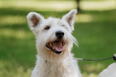 Similar image 22207809