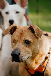 Similar image 22207812