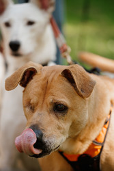 Similar image 22207813