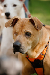 Similar image 22207814