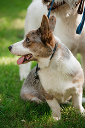 Similar image 22207815