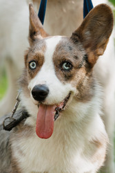 Similar image 22207817