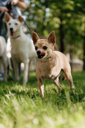 Similar image 22207823