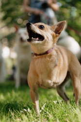 Similar image 22207824