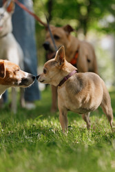 Similar image 22207826