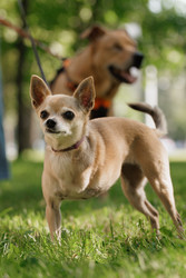 Similar image 22207827