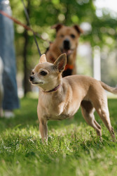 Similar image 22207828