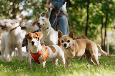 Similar image 22207902