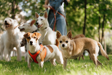 Similar image 22207903