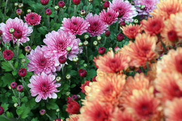 Similar image 22200586