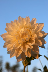 Similar image 22200588