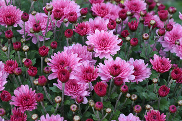 Similar image 22200589