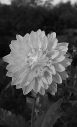 Similar image 22200590