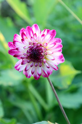 Similar image 22200592