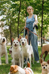 Similar image 22205500